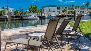 Unclassified image, 5 of 43, button