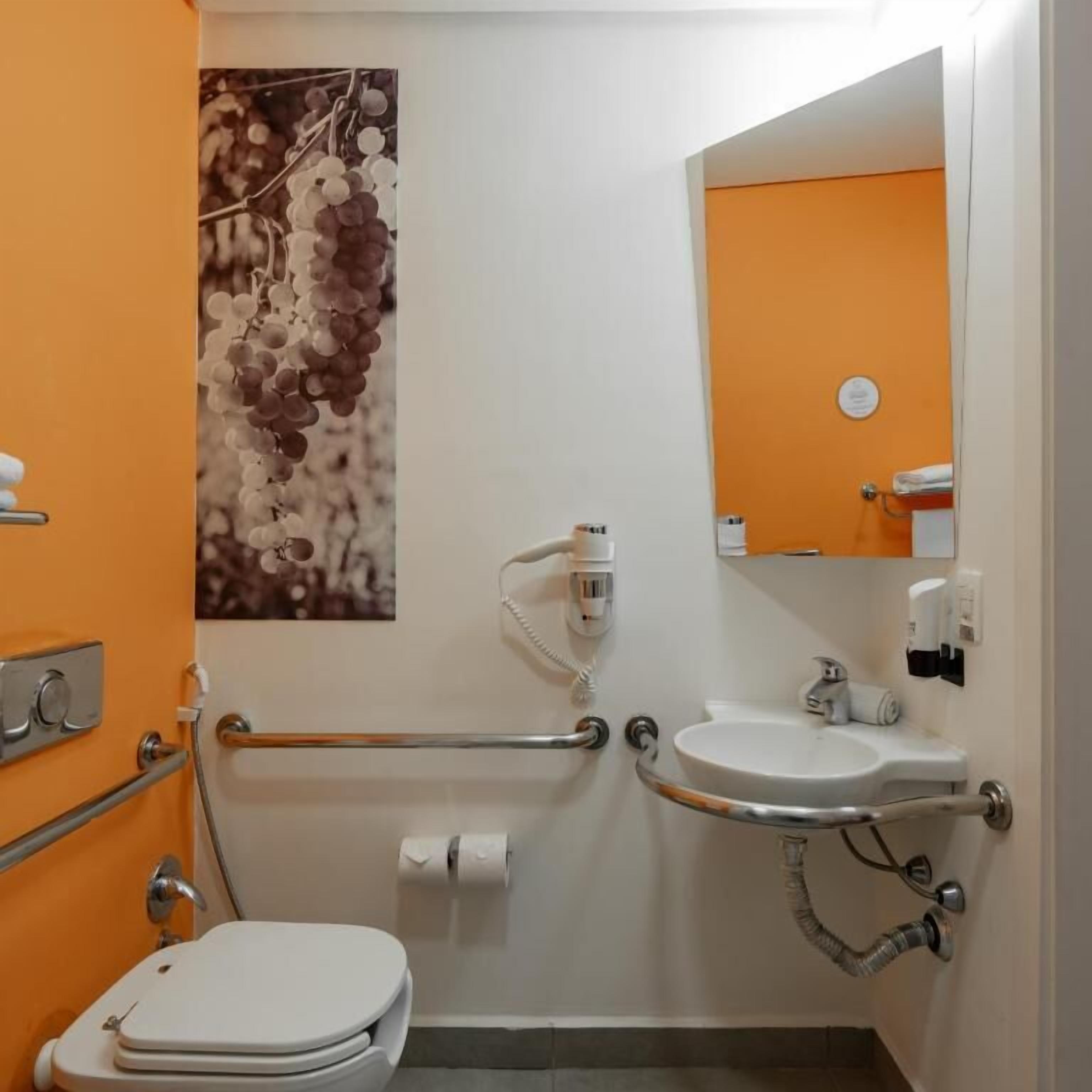 A bathroom with a white toilet, a sink, and a mirror. There is a handrail and a grab bar installed for safety.