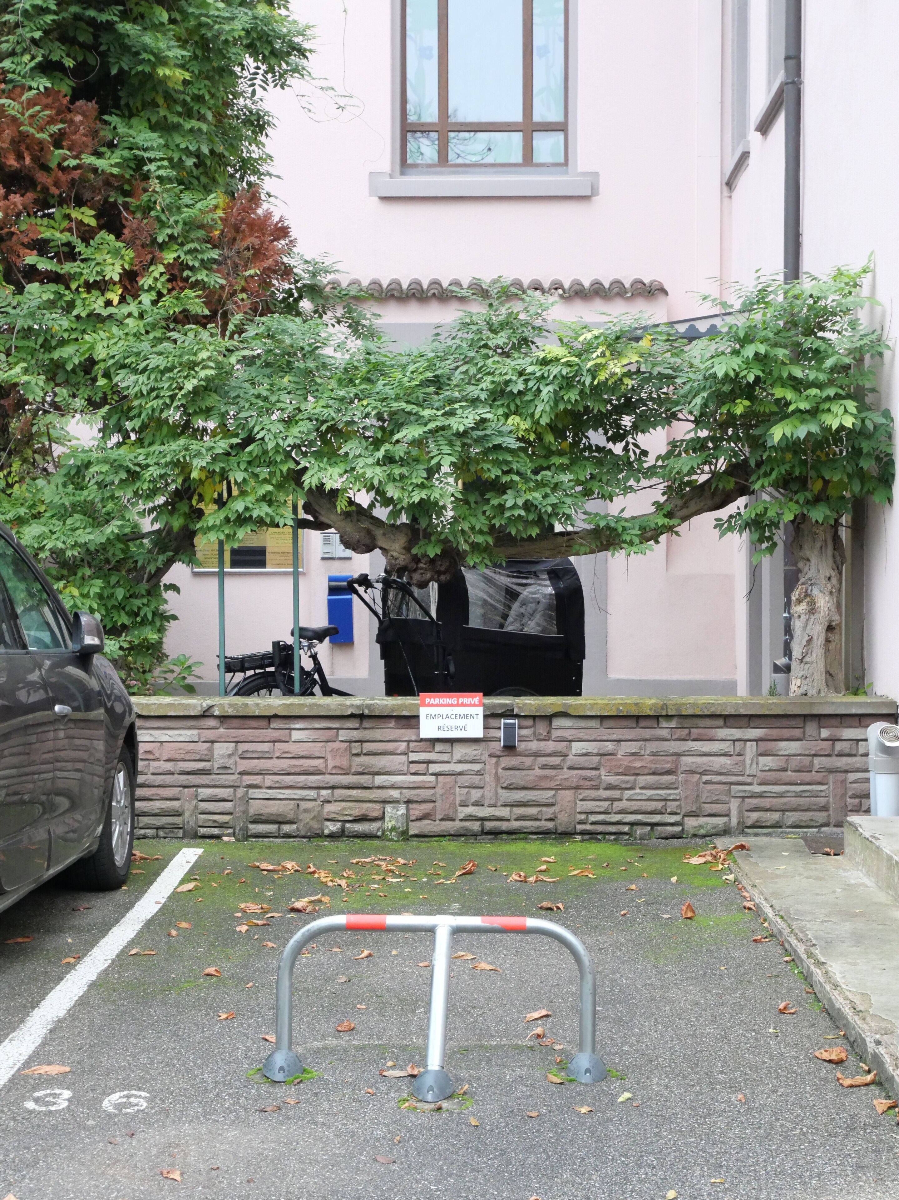 Parco della struttura