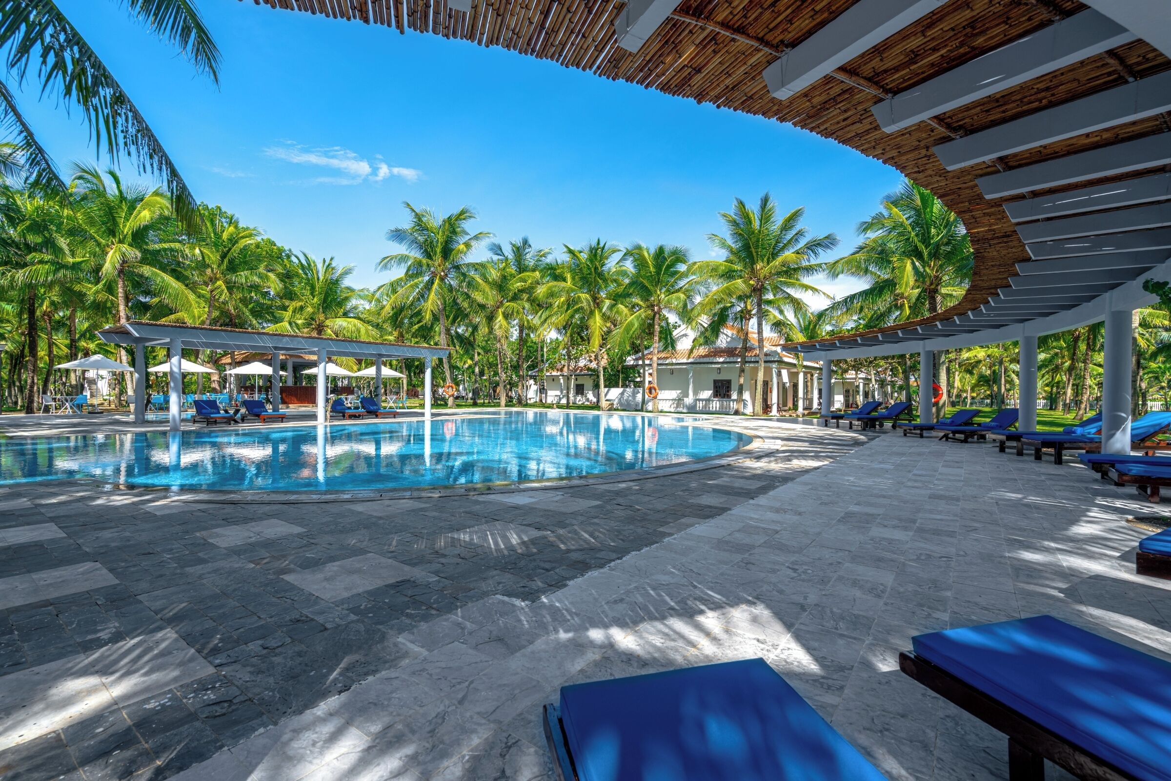 A pool area with lounge chairs and palm trees.