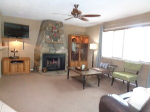 Televisión, chimenea, reproductor de DVD y libros 