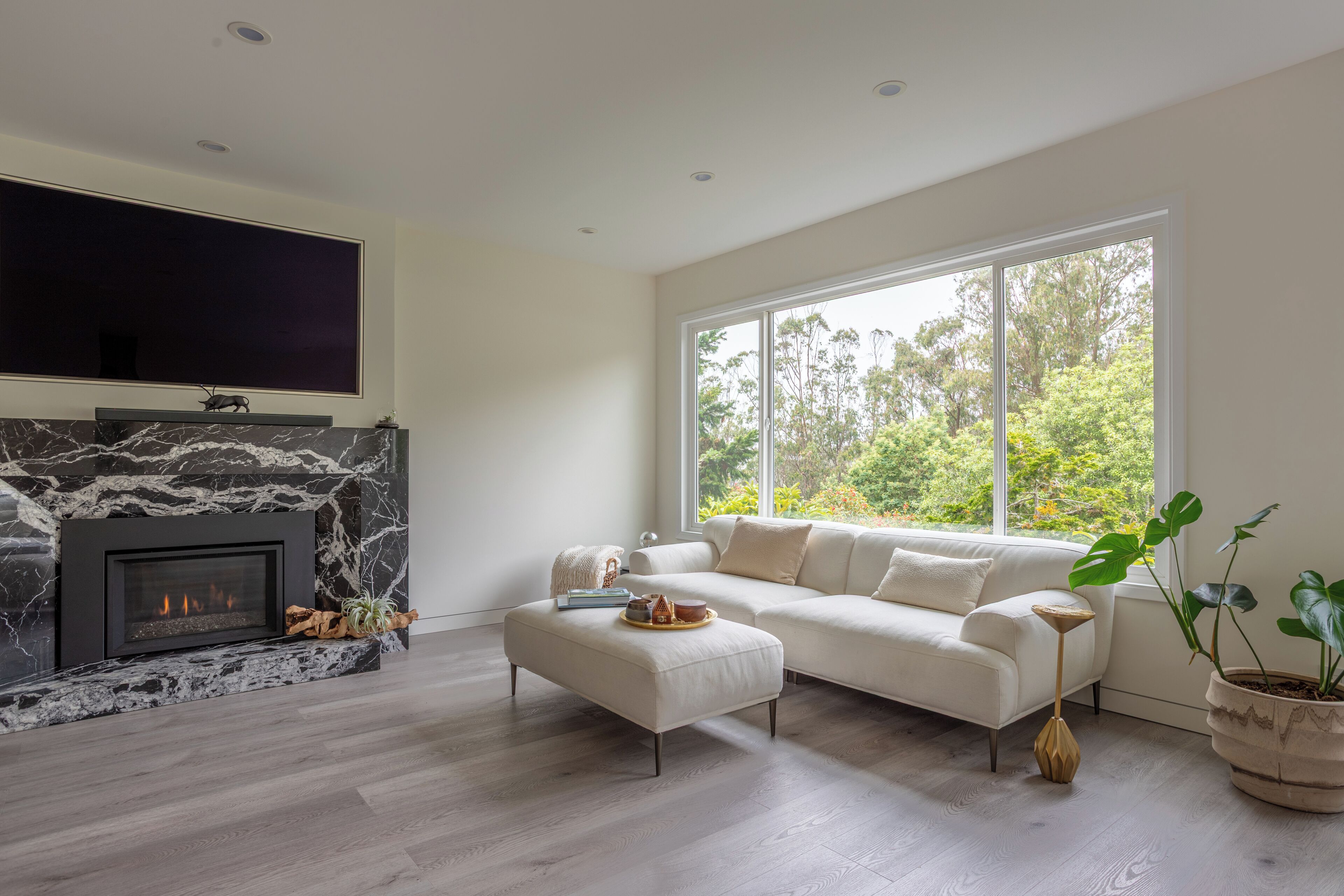 Smart TV, fireplace, stereo, computer monitors