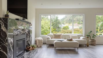 智能电视、壁炉、立体声音响、电脑显示器