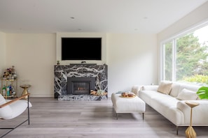 Smart TV, chimenea, estéreo y monitor de computadora 