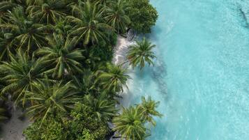 An aerial view of a beach with dense palm trees and clear turquoise waters.