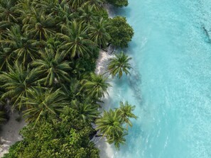 An aerial view of a beach with dense palm trees and clear turquoise waters.