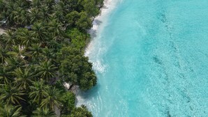 Vista aérea de una playa con aguas turquesas cristalinas y densas palmeras.