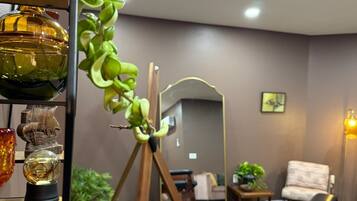 Iron/ironing board, free WiFi