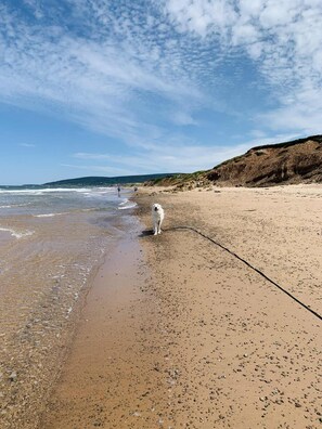 Beach - New deluxe villa steps to Cabot Links! Villa 1 (Inverness)