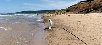New deluxe villa steps to Cabot Links! Villa 1