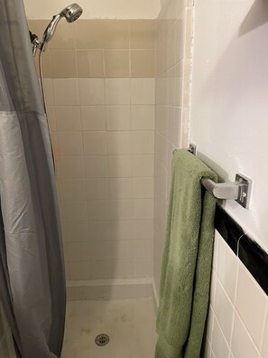 Shower, hair dryer, towels, soap - Roosevelt River Cabins Unit 1 (Junction)