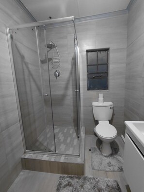 Shower, towels, toilet paper