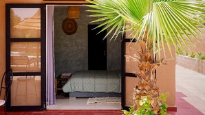 Una habitación con cama, ventana y puerta que da a un espacio exterior con una palmera.