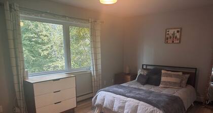 Modern 4-bedroom house in Fairbanks