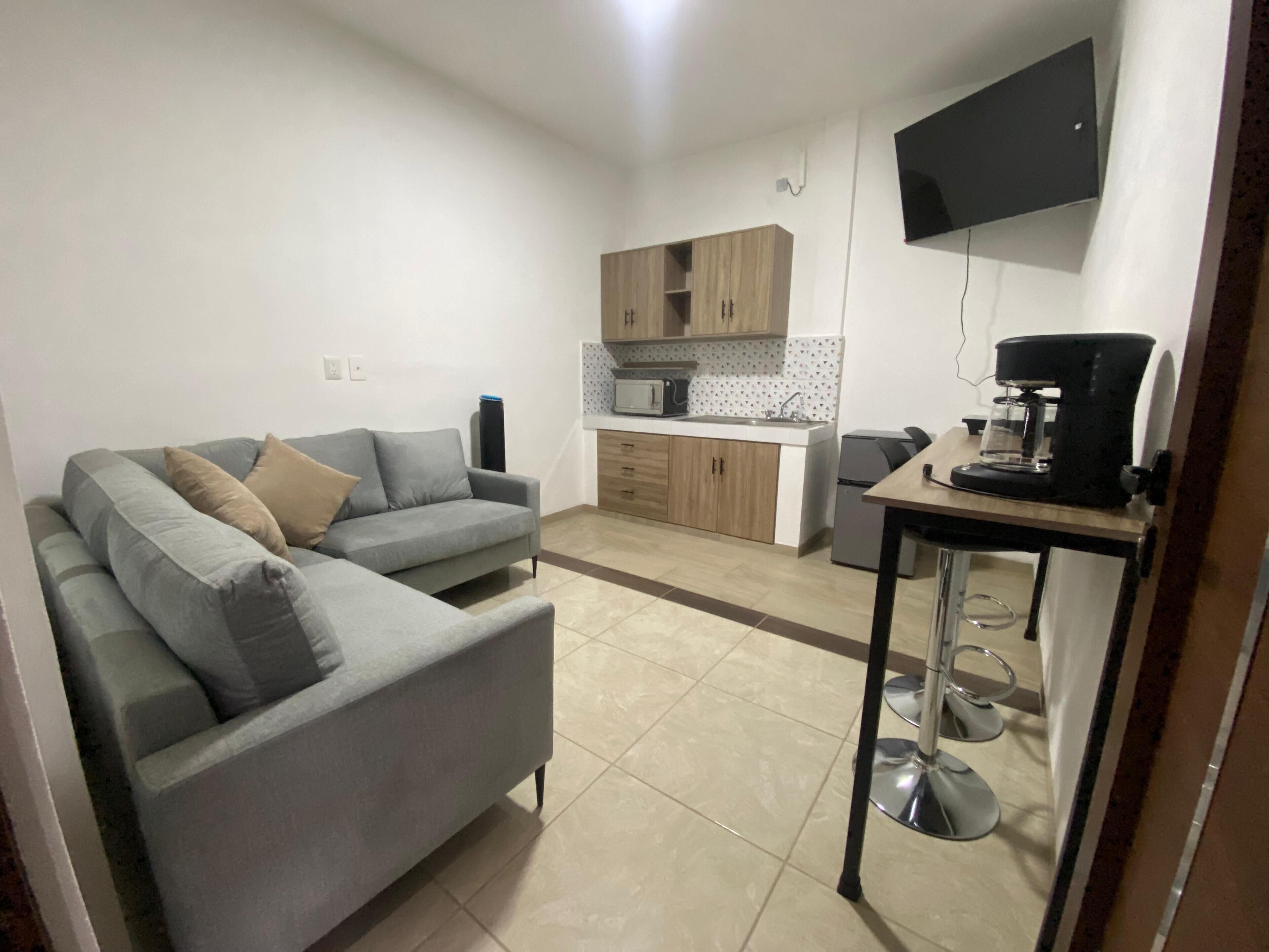 スタンダード アパートメント | 専用キッチン | 小型冷蔵庫、電子レンジ