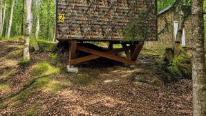 A cabin with a rustic exterior, surrounded by a forest. - Happy Trails Hideout #2 (Houston)