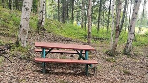 A forested area with a picnic table and a fire pit. - Happy Trails Hideout #2 (Houston)