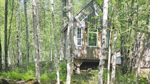 A rustic cabin surrounded by a dense forest, a picnic table, and a fire pit. - Rustic Bunk #5 (Houston)