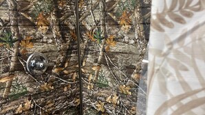 A room with a camouflage-patterned wall, a metal door, and a patterned curtain. - Vibing In The Woods #6 (Houston)