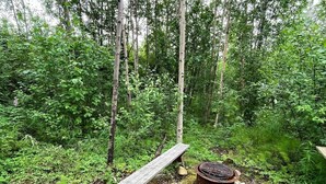 Et rustikt udendørs miljø med en træbænk og ildsted i metal, omgivet af tæt skov.