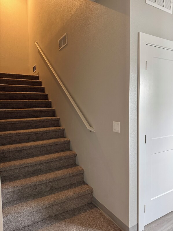 Un escalier recouvert de moquette, doté d’une rampe, une porte blanche et un interrupteur sur le mur.