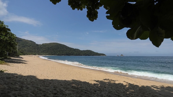 Playa