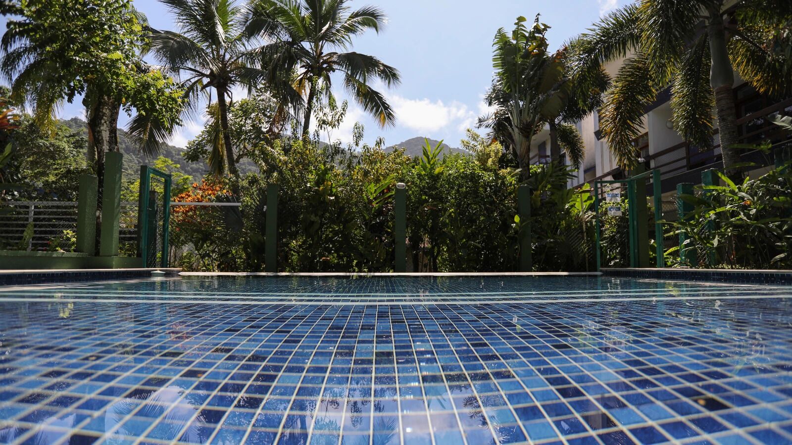Ein mit blauen Fliesen ausgekleideter Pool, umgeben von üppiger Vegetation und Palmen.