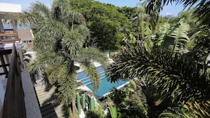 Une piscine entourée d’une végétation tropicale luxuriante, notamment de palmiers et d’autres plantes vertes.