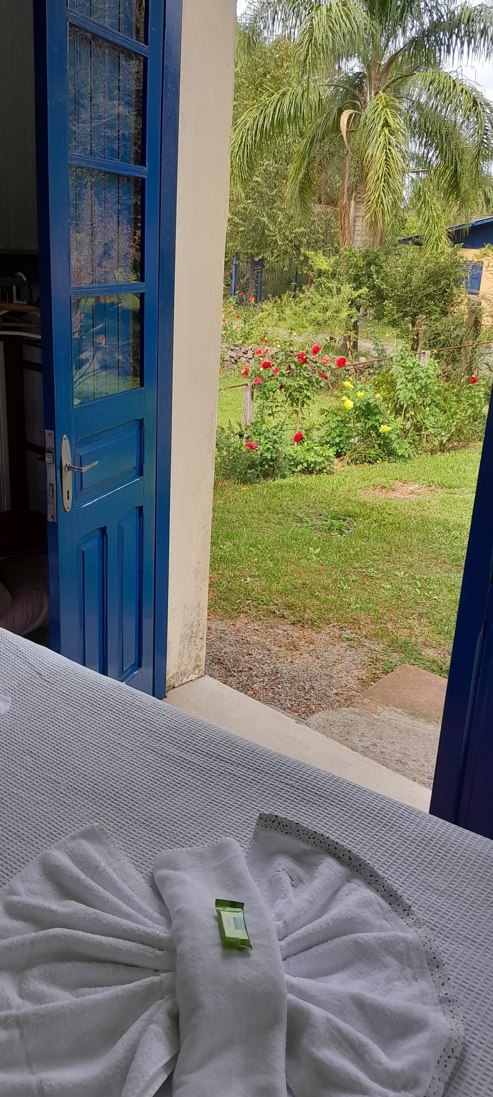 A room with a blue door, a white towel, and a green item on the bed.