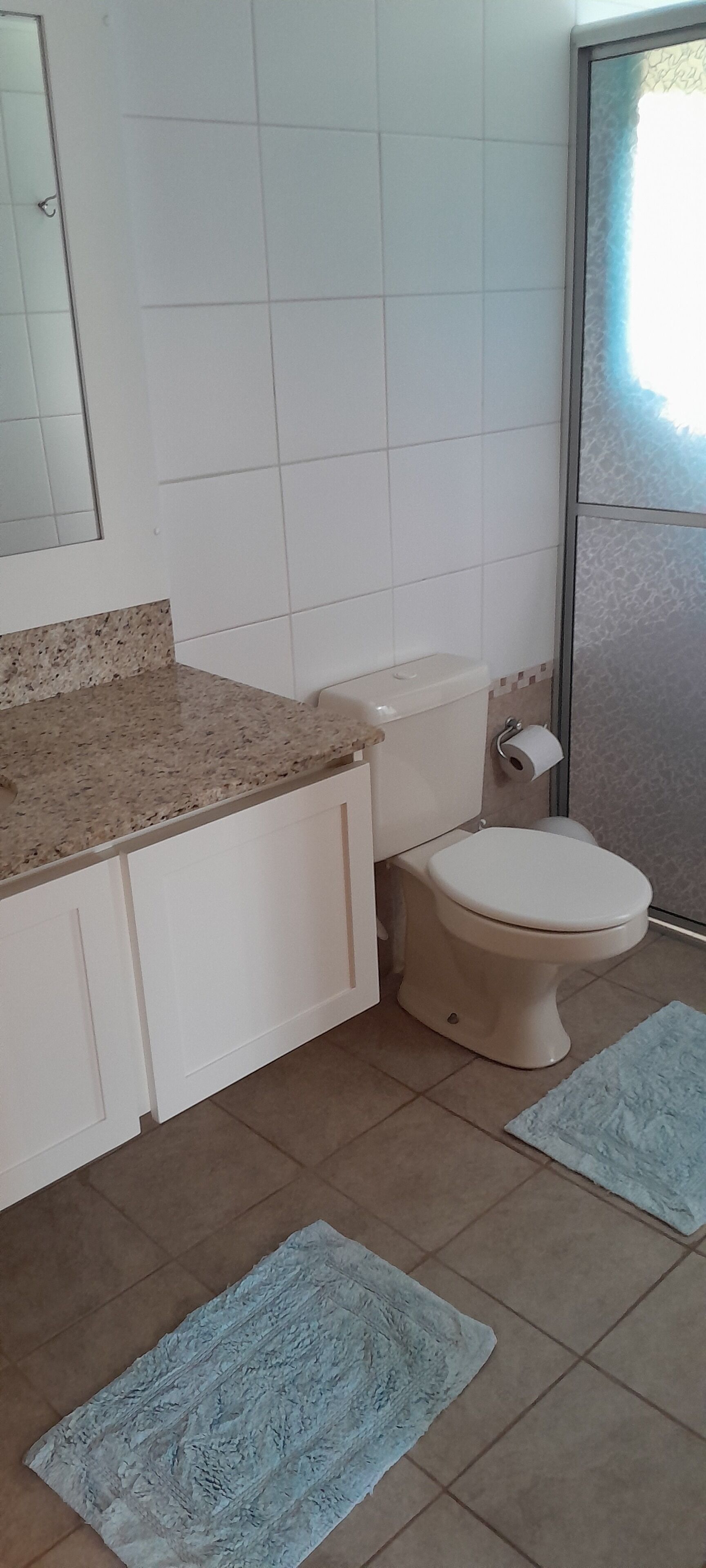 Een badkamer met toilet, wastafel en spiegel. Op de vloer liggen twee blauwe matten.