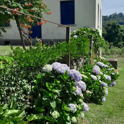Casa Foresti, historic, surrounded by nature, for family or group of friends....