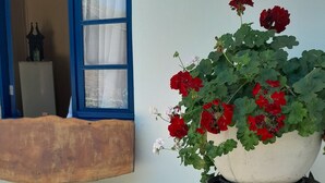 A potted geranium plant on a wooden barrel, a wooden bench, and a window with blue trim.