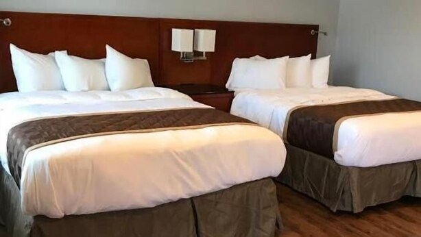 A hotel room with two beds, wooden flooring, and a wooden headboard. - Rex Motel (Ventura)