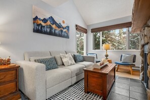 電視、DVD 播放機