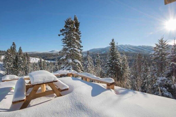 Property grounds - Moussaillon | Tavata Chalets | Valinouët (Saint-David-de-Falardeau)