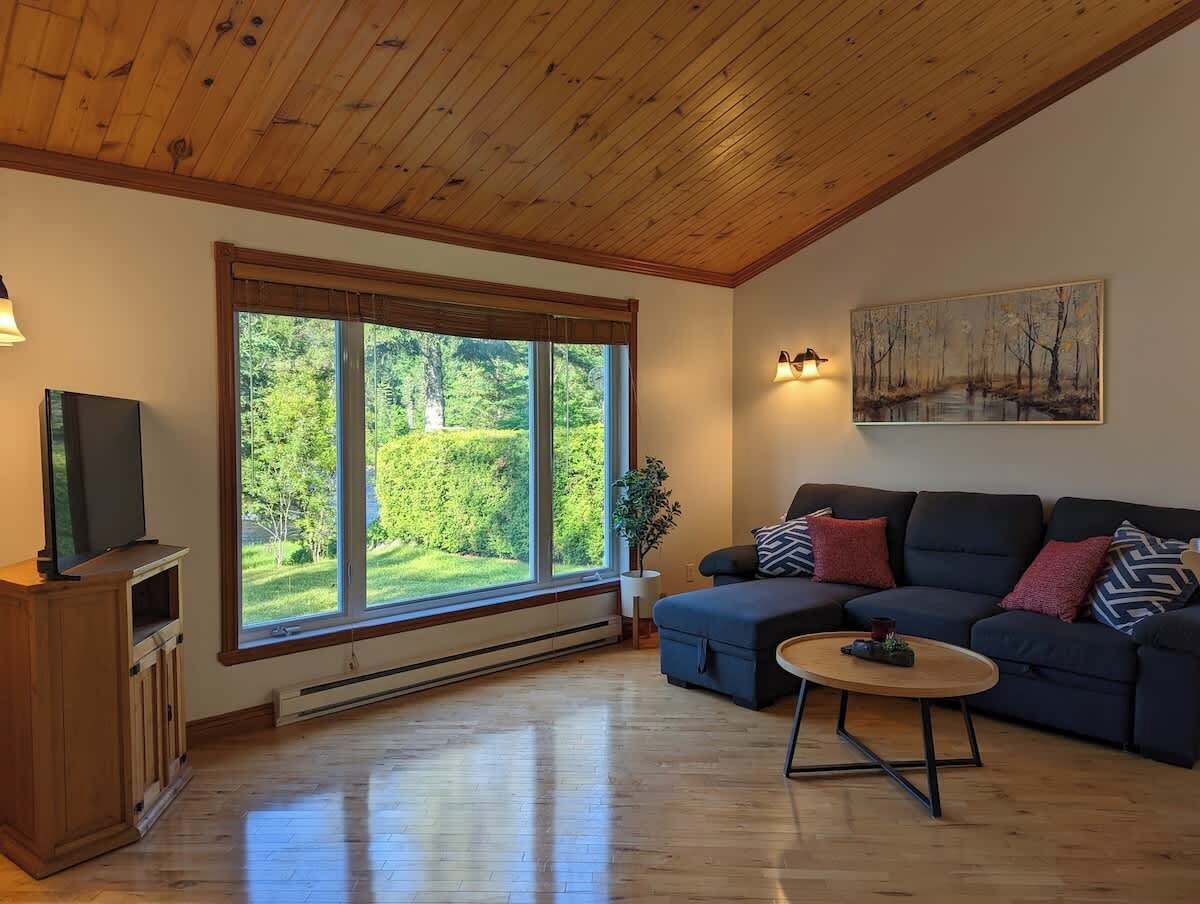 電視、壁爐、DVD 播放機