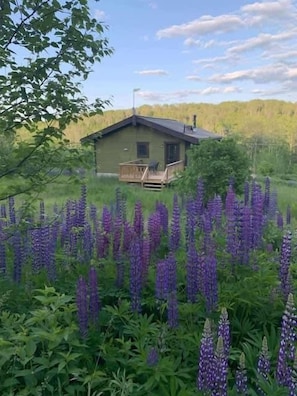 Udendørsområde