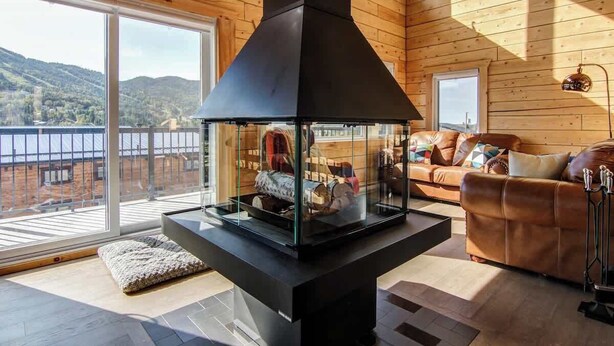 A cozy living room with a fireplace, a leather sofa, and a glass enclosure for the fireplace.