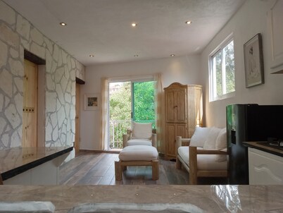 Extremely Clean, Well Iluminated Two Bedroom Apartment Rustic Mexican finishes