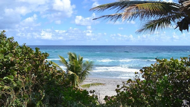A beach with clear blue water, a sandy shore, and lush greenery. - 2BR - Hot Tub W/ Peaceful Backyard • 1 Mi to Beach (Boca Raton)