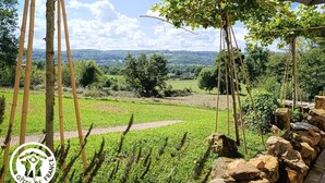 Paisagem rural com um caminho bem definido, árvores e um muro de pedra.