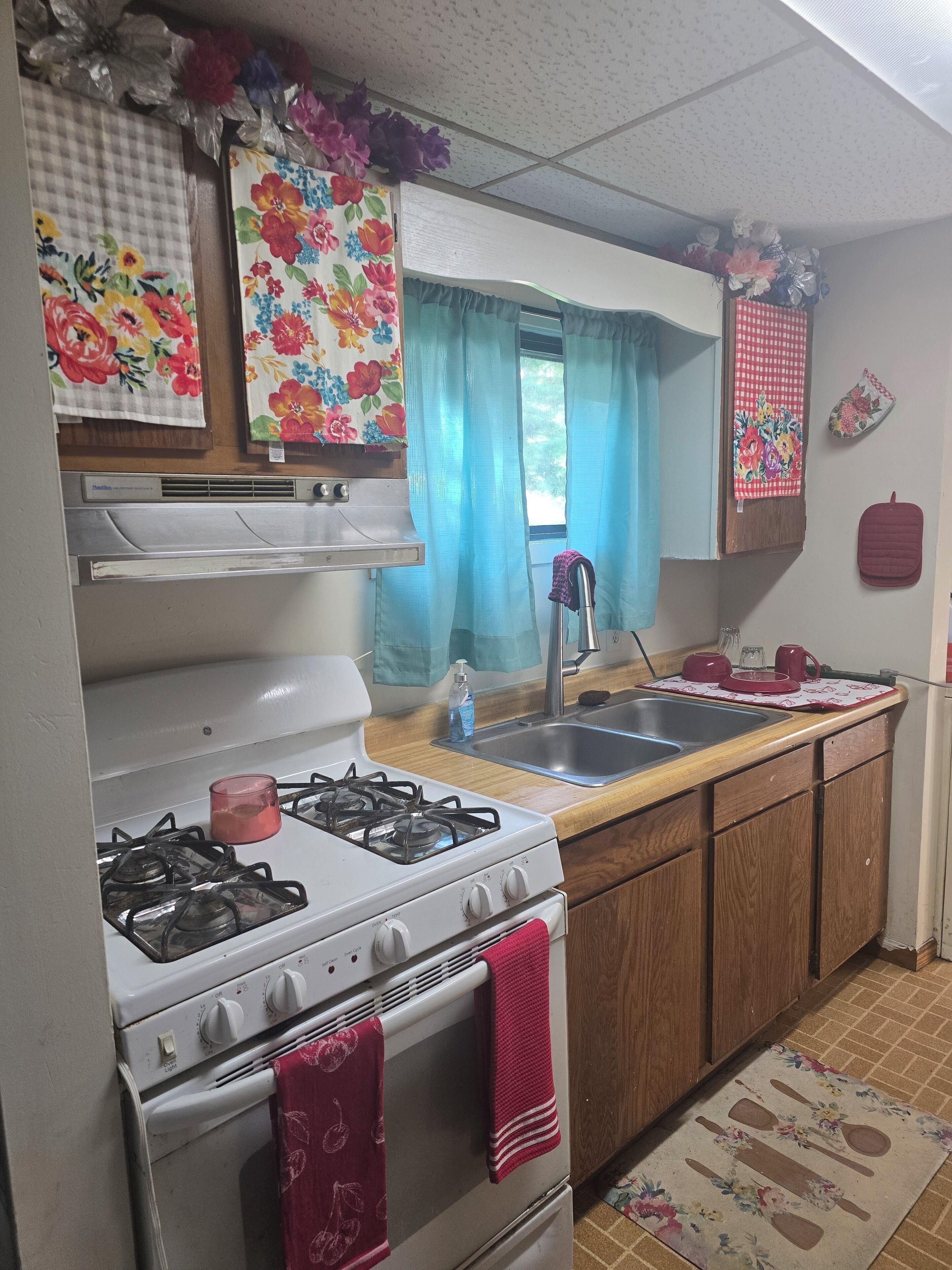 Mikrowelle, Ofen, Herdplatte