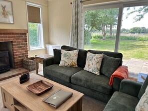 Télévision, cheminée, lecteur de DVD, livres