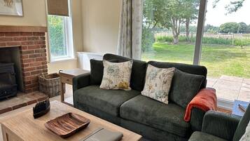 Smart TV, fireplace, DVD player, books