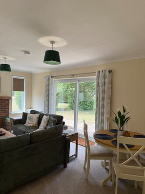 Televisor, llar de foc, reproductor de DVD i llibres 