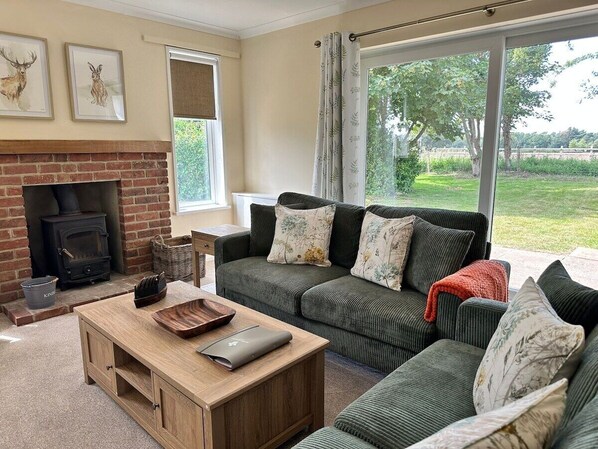 TV, fireplace, DVD player, books