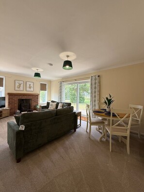 Smart TV, fireplace, DVD player, books