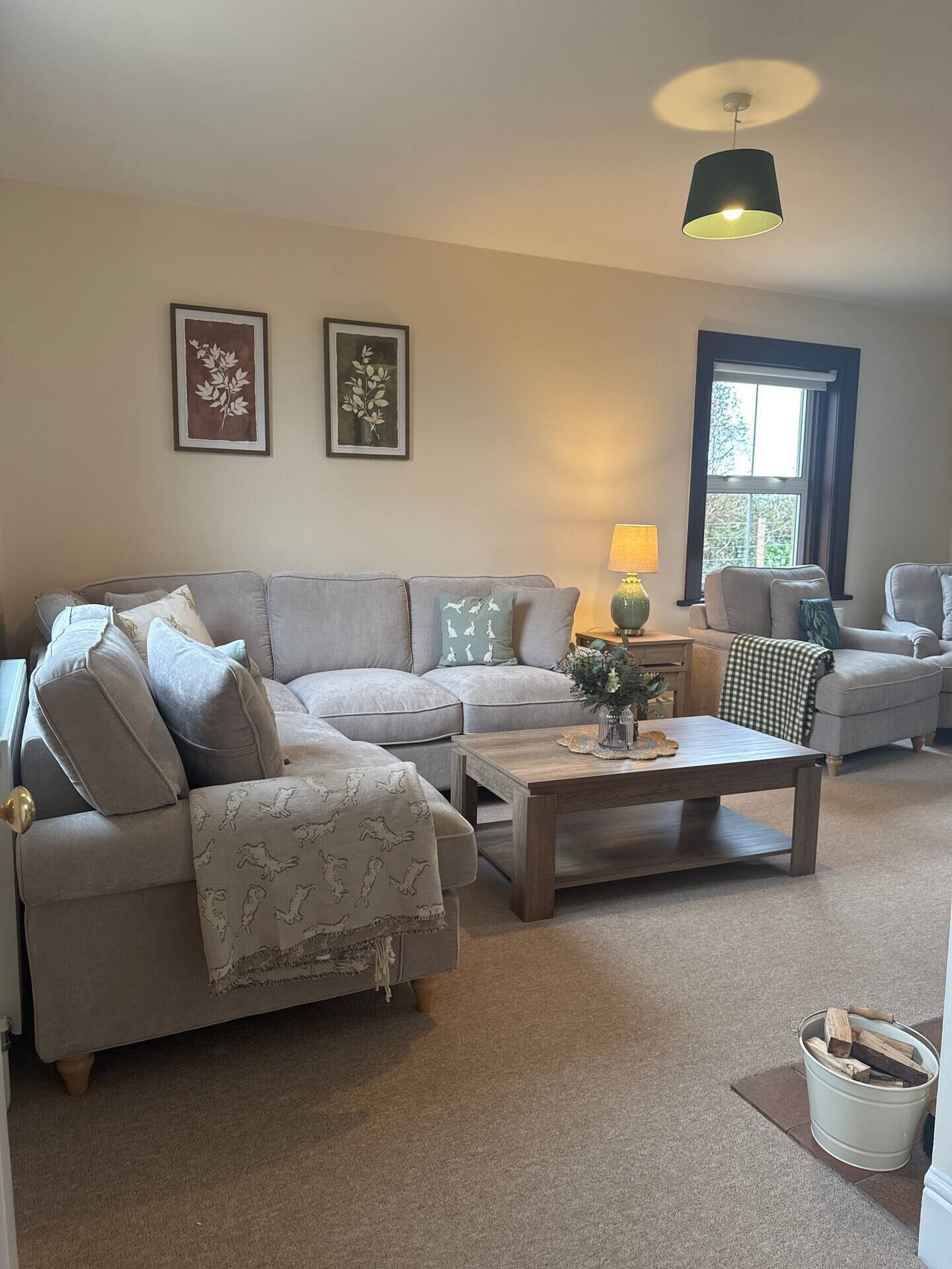 TV, fireplace, DVD player, books