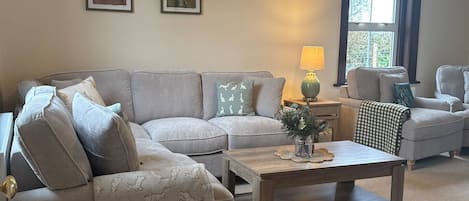 Fernseher, Kamin, DVD-Player, Bücher
