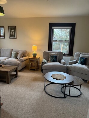 TV, fireplace, DVD player, books